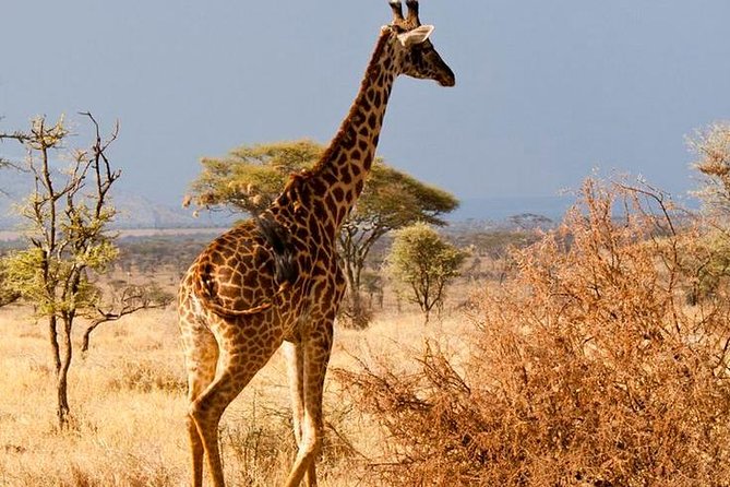 6 Days / 5 Nights Join Group Safari - Booking Information