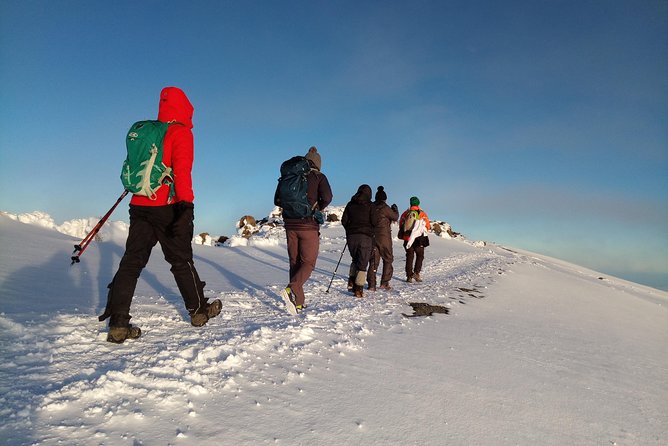 6 Days Rongai Route Climbing Mt.Kilimanjaro - Pricing and Customer Feedback
