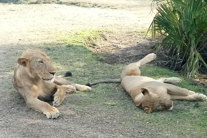 6 Days Safari to Mikumi Np, Udzungwa Mountain NP and Nyerere NP (Selous GR) - Booking Process