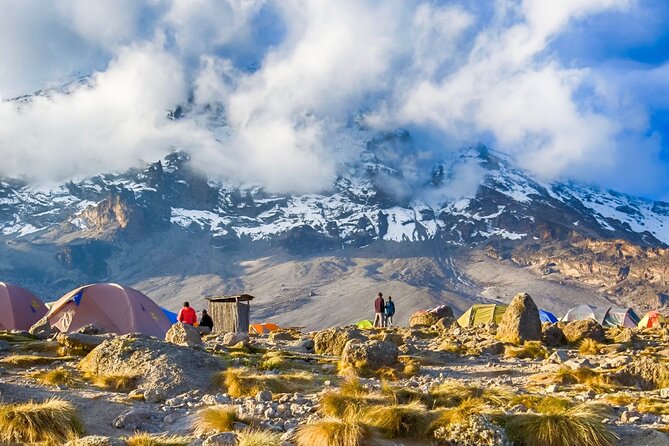 7 Day: Hiking Kilimanjaro via Lemosho Route - Tips for a Successful Trek