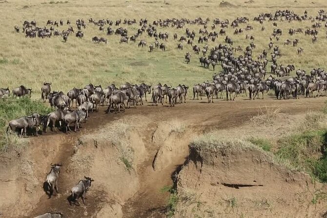 7 Days Group Camping Tarangire/Serengeti/Ngorongoro Crater and Lake Manyara - Frequently Asked Questions