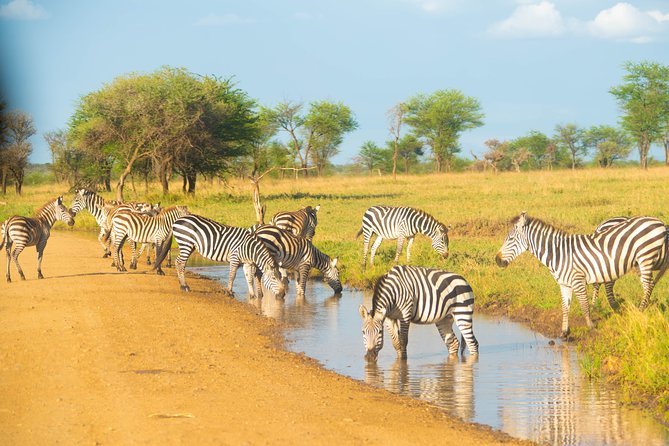 7 Days Lodge Safari. - Booking Process and Pricing