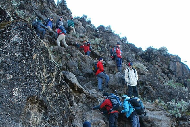 7-Days Tour Mount Kilimanjaro Trekking via Machame Route - Reviews and Experiences