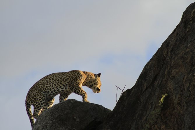 8 Days 7 Nights Private Lodge Safari - Customer Reviews and Ratings