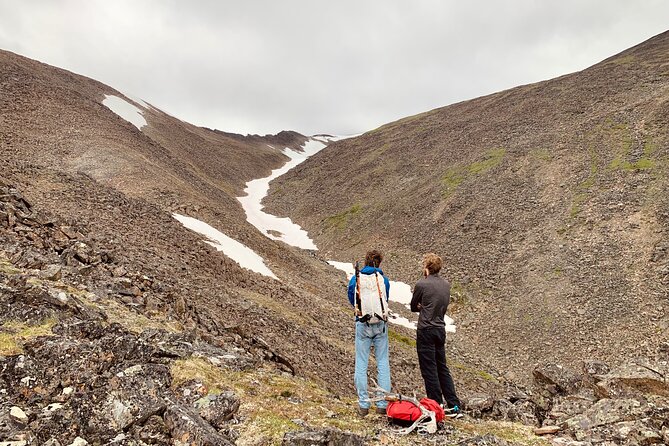8 Hour Denali Mountainous Hiking Activity - Tour Operator
