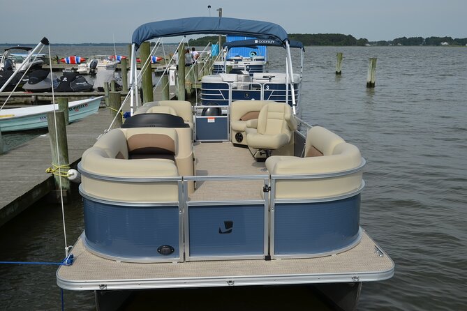 8-Hour Luxury Pontoon Boat Rental Review - Highlights of the Experience