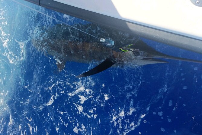 8 Hour Private Fishing Charter in Kailua-Kona, Hawaii - Reviews and Ratings