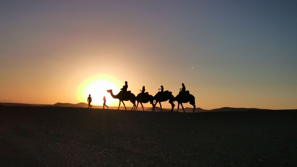 A Journey Through Time Telouet and Ait Ben Haddou Day Tour - Cancellation Policy and Booking Flexibility
