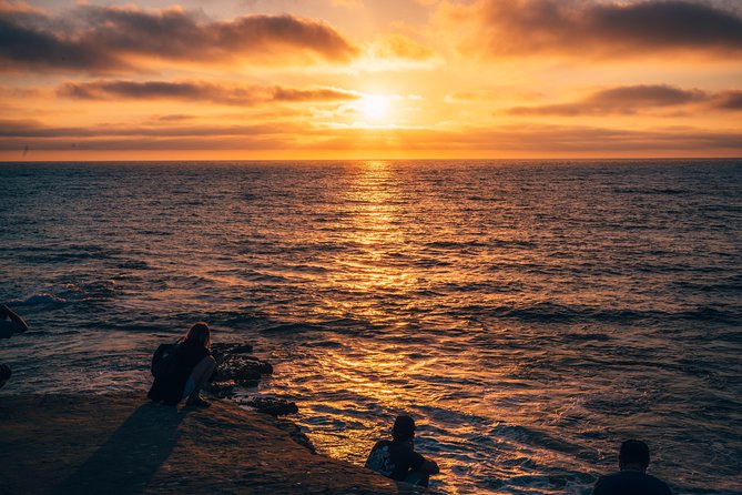 A Local's Guide to La Jolla's Sights: A Self-Guided Urban Stroll - Immersing Yourself in Nature at La Jolla Cove