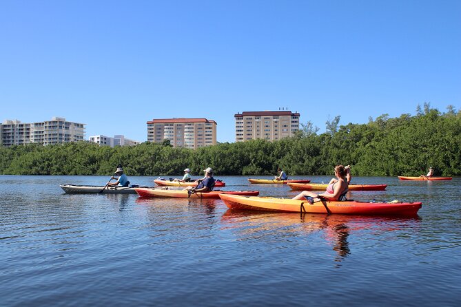 Adventure and Wildlife Watch Kayak Rentals in Sarasota - Booking and Cancellation Policies