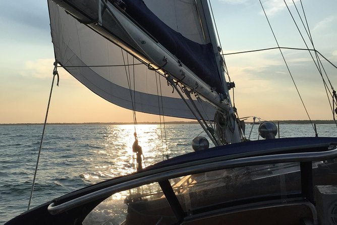 Afternoon Sail - Wildlife and Scenic Sights