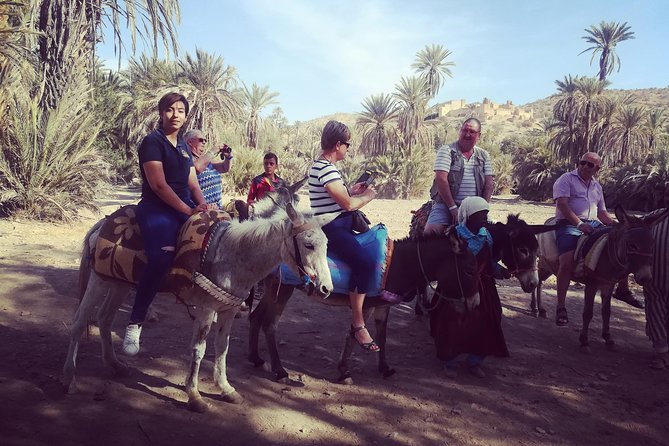 Agadir Day Trip to ​Taroudant & Tiout - Things to Do in Taroudant