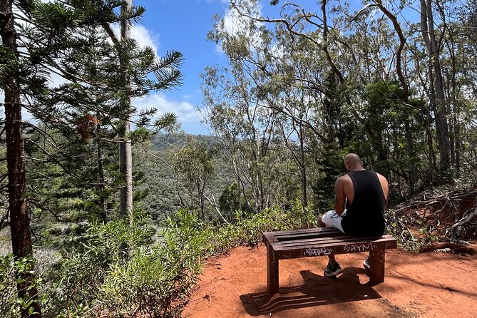 Aiea Loop Trail Hiking Review - Personal Reflection