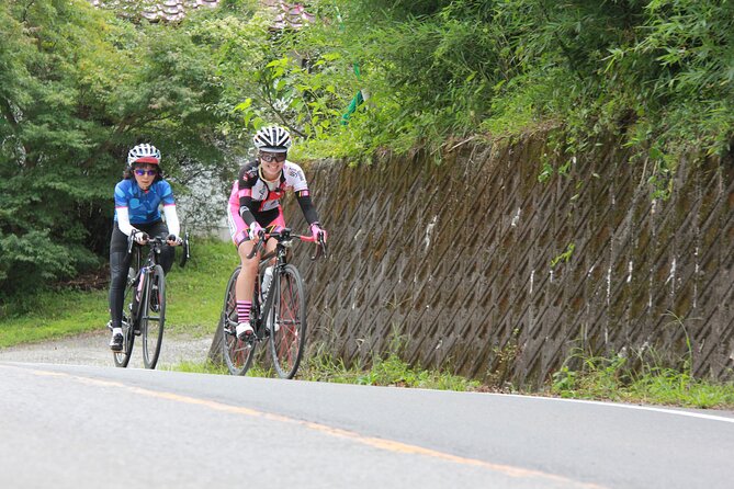 Akagi Mountain E-Bike Hill Climbing Tour - Exploring the Akagi Mountain Landscape