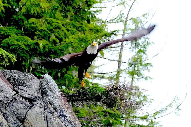 Alaska Marine Fast Boat Adventure - Booking and Cancellation Policy