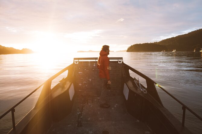 Alaska Wildlife Tour in Kachemak Bay - Wildlife Sightings and Guides