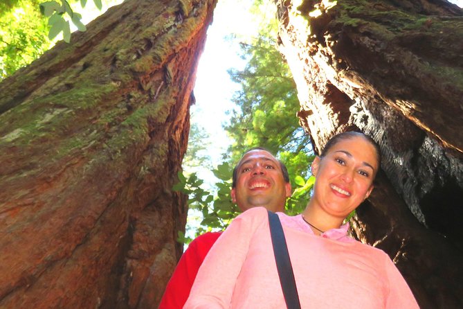 Alcatraz, Muir Woods & Sausalito Tour Review - Comparison to Similar Tours