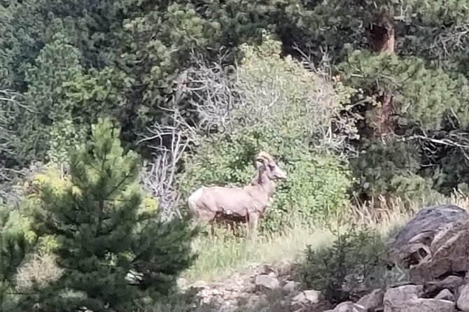 All Day Rocky Mountain National Park to Grand Lake Tour - Discovering Rocky Mountain National Park