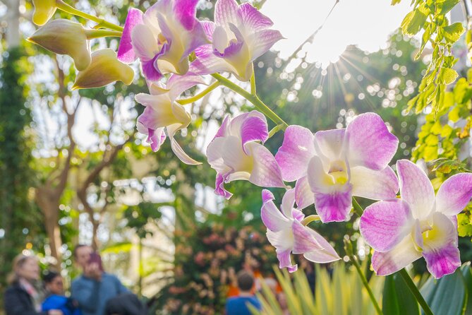 All-Garden Pass for the New York Botanical Garden - Dining and Refreshment Options