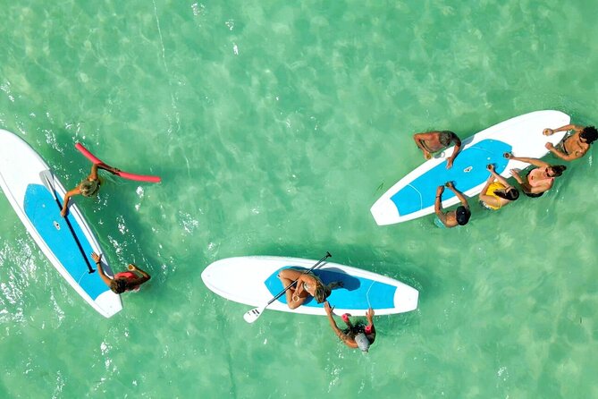 All-Inclusive Sandbar Safari With Dolphin Playground Encounter - Accessibility and Accommodations