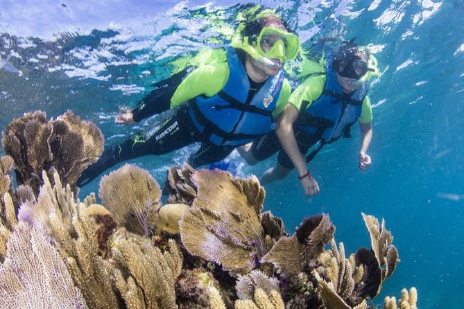 Amazing Snorkeling Experience in Cancun - How to Book Your Tour