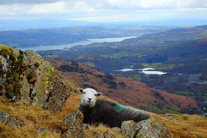 Ambleside to Windermere Mini Tour - Includes Stop at Golden Rule - Exploring Ambleside
