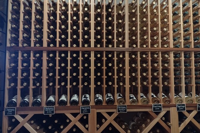Andies NON BUS 4-winery Traverse Leelanau Peninsula Wine Tour - Accessibility and Participation
