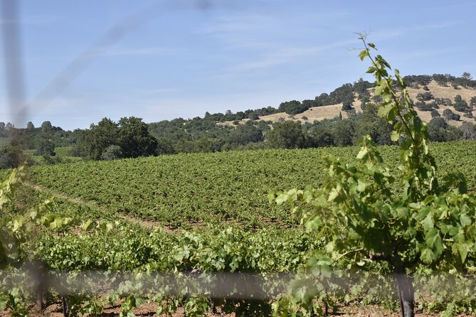 Apple Hill Wine Tasting Tours and Placerville Wine Tasting Tours - What to Expect on the Tour