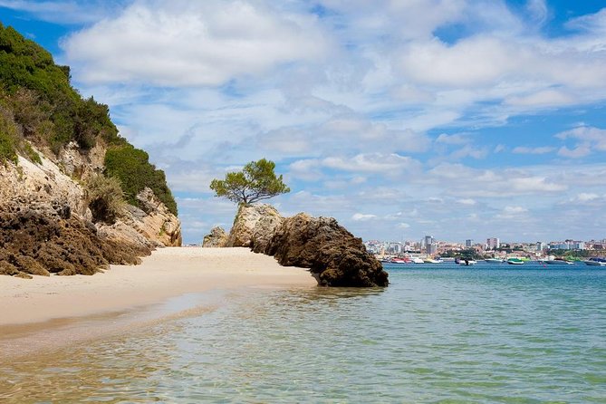 Arrabida Private Full-Day Wine Excursion - Customizable Itinerary