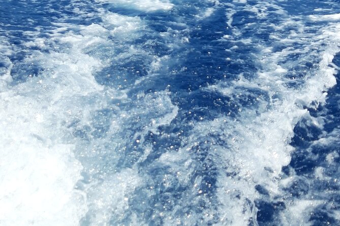 Athens Greece Private Day Cruises ALL INCLUSIVE Fuel BBQ Meal - Amenities and Inclusions