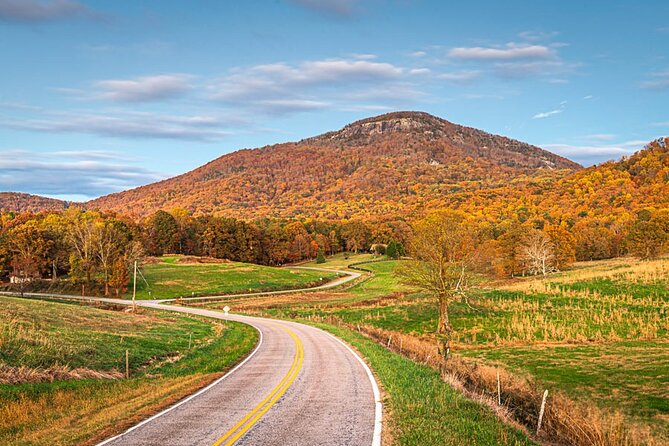 Atlanta to Amicalola Falls Tour Review - Alternative Recommendations