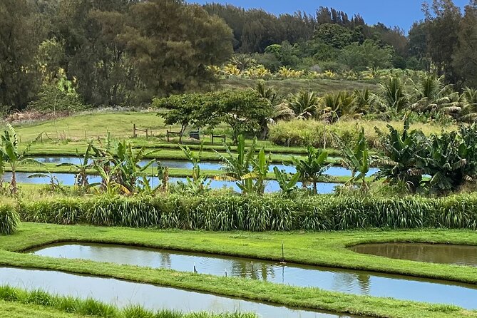 ATV Ranch Ride Big Island Hawaii - Exploring the Exotic Orchard