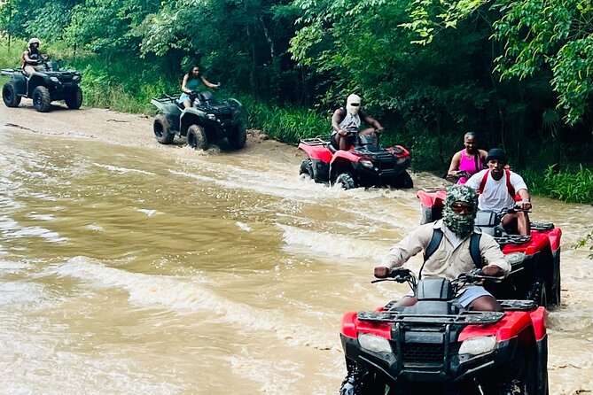 ATV Rentals in Houston Texas - Customer Reviews and Feedback
