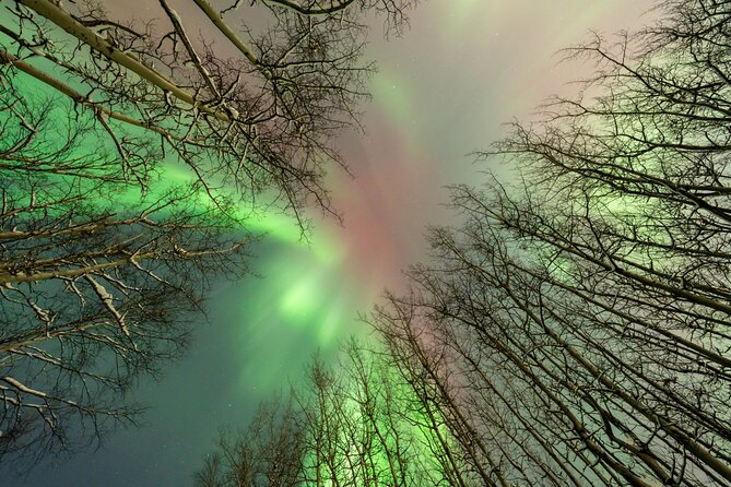 Aurora Chasing Tour With Free Photography - Capturing the Aurora Borealis