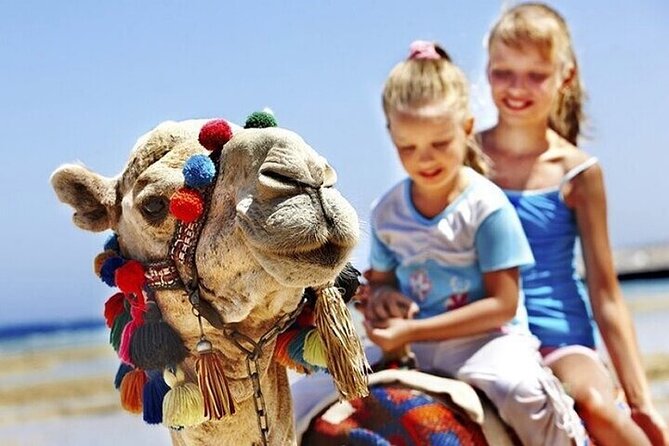 Authentic Private Tangier Tour From Tarifa Camel Ride & Lunch - Guided Support and Amenities