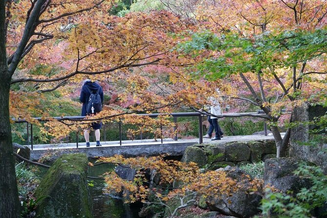 Autumn Leaves Private Tour in Nagoya - Guest Reviews