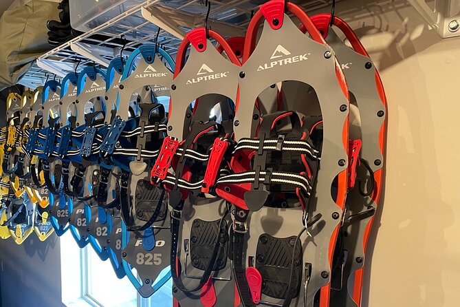 Backcountry Snowshoeing in Pristine Utah Mountains - A Personalized Pace and Customizable Excursions
