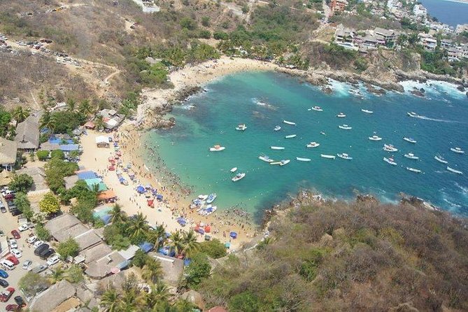 Beaches Dolphins And Viewpoints Discovering The Hidden Port By Sea And Land - Exploring Local Markets