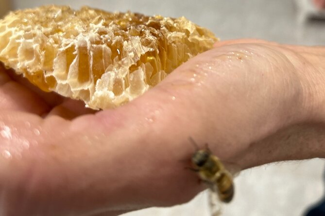 Beekeeping Experience Areti Honey - Customer Reviews and Ratings