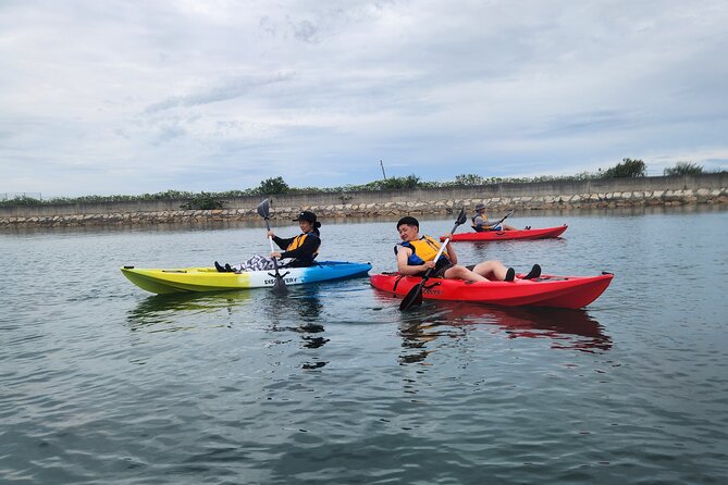 Beginner Friendly Stand Up Paddle Boarding Tour in Awaji Island - Booking Information