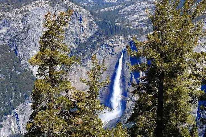 Best 1-Day Yosemite National Park Tour Review - Customer Experience and Feedback