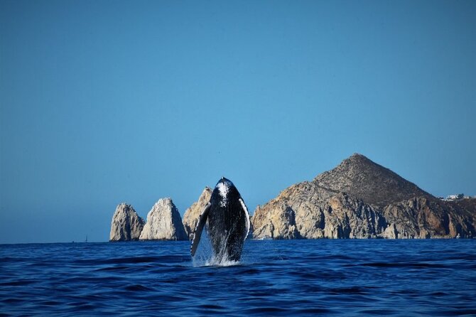 BEST COMBO CABO ARCH CLEAR BOAT & CITY TOUR La Paz & Todos Santos - Important Participant Information