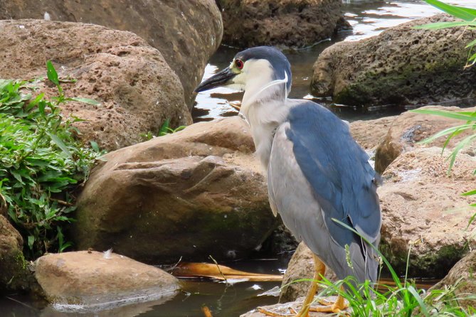 Best Highlights of Maui Review - Questions About Your Stay