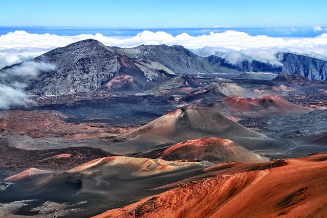 Best of Maui Tour: Sips, Sites and Bites With Lunch - Tour Logistics and Accessibility