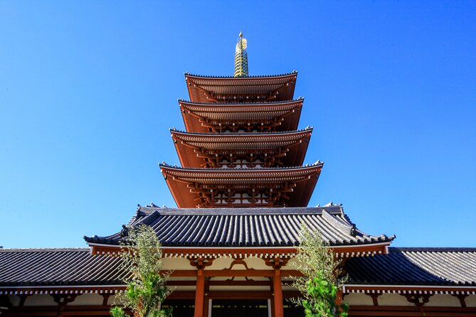 Best of Tokyo City Walking Tour for Kids and Families - Booking and Review Details