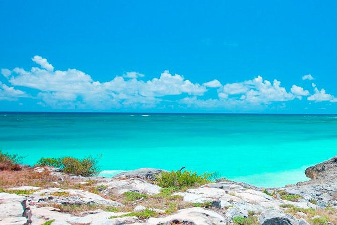Best Tour to Tulum, Coba, Cenote and Playa Del Carmen - Swimming in a Cenote