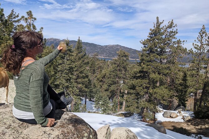 Big Bear Lake Jeep Tour With Light Lunch - Accessibility
