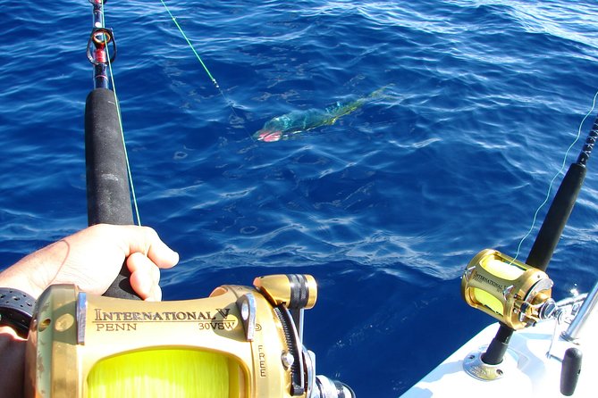 Big Game Fishing a Fishing Charter in Seychelles - Accessibility and Participation Guidelines