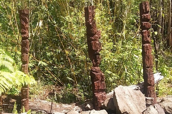 Big Island Jungle Tour With Banana and Guava Green Tea - Accessibility and Participation