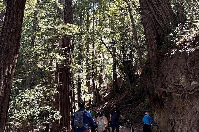 Big Sur Electric Bike Tour Along Old Coast Road - Frequently Asked Questions